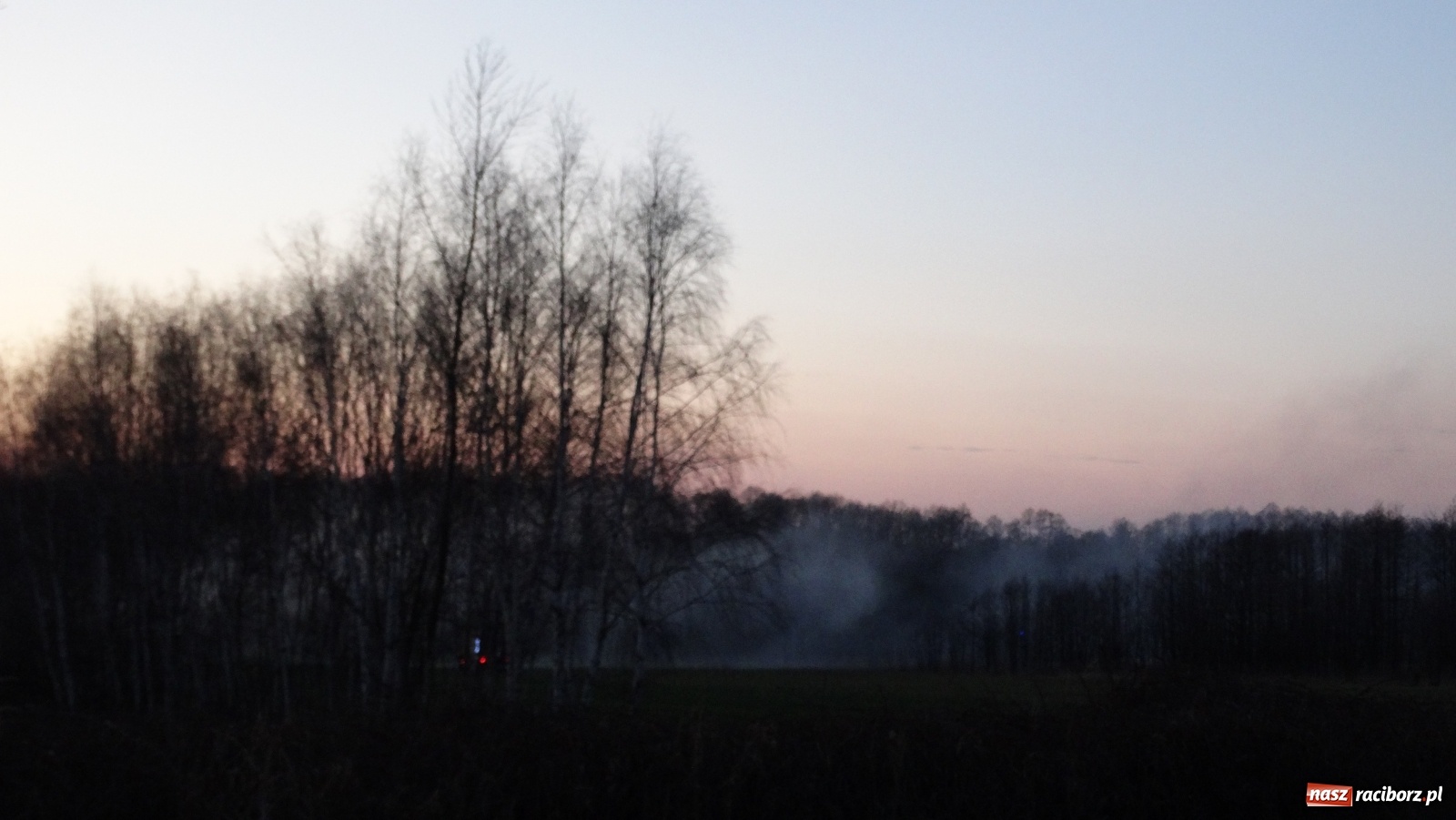Zdjęcie w galerii na portalu naszraciborz.pl: Raport 998. Pożar trawy na Gliwickiej. Zagrożony był las! wiadomości z regionu
