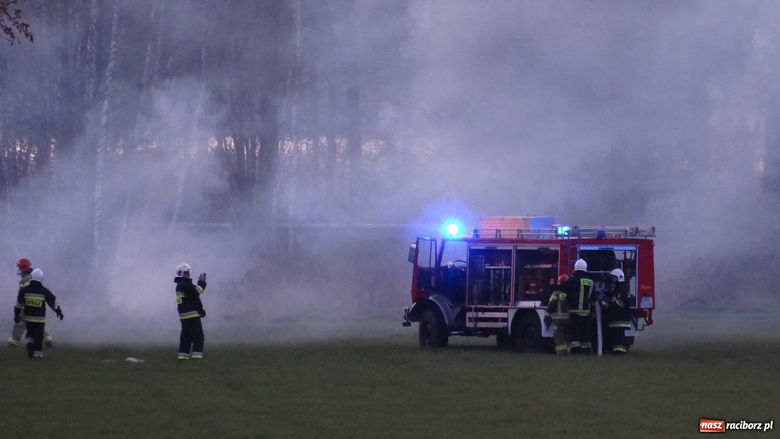 Zdjęcie w galerii na portalu naszraciborz.pl: Raport 998. Pożar trawy na Gliwickiej. Zagrożony był las! wiadomości z regionu