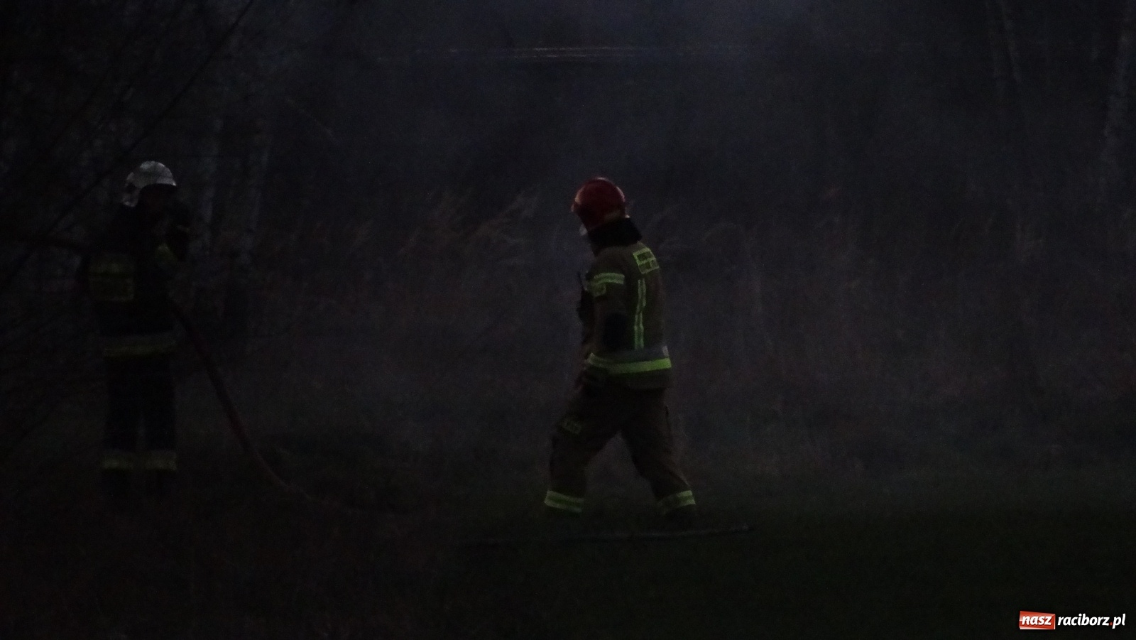 Zdjęcie w galerii na portalu naszraciborz.pl: Raport 998. Pożar trawy na Gliwickiej. Zagrożony był las! wiadomości z regionu