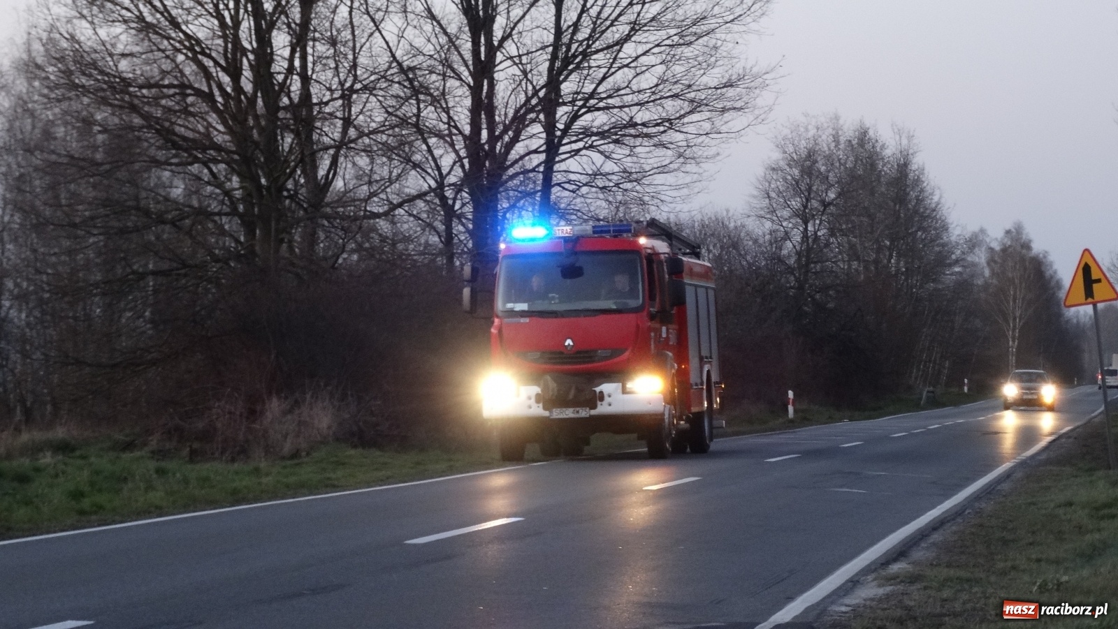 Zdjęcie w galerii na portalu naszraciborz.pl: Raport 998. Pożar trawy na Gliwickiej. Zagrożony był las! wiadomości z regionu