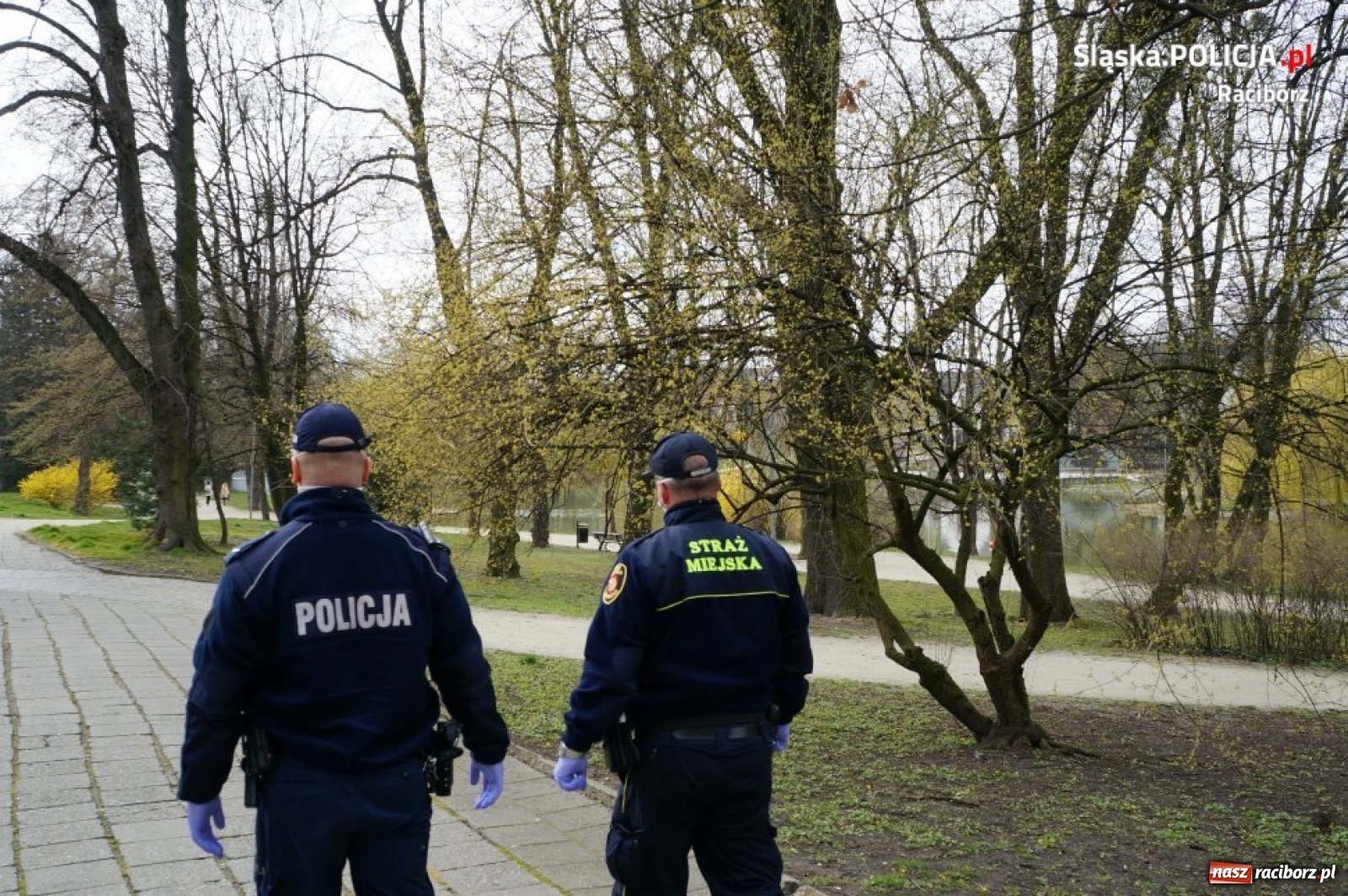 Zdjęcie w galerii na portalu naszraciborz.pl: Straż miejska w Raciborzu włączona do wspólnych patroli z policją [FOTO] wiadomości z regionu