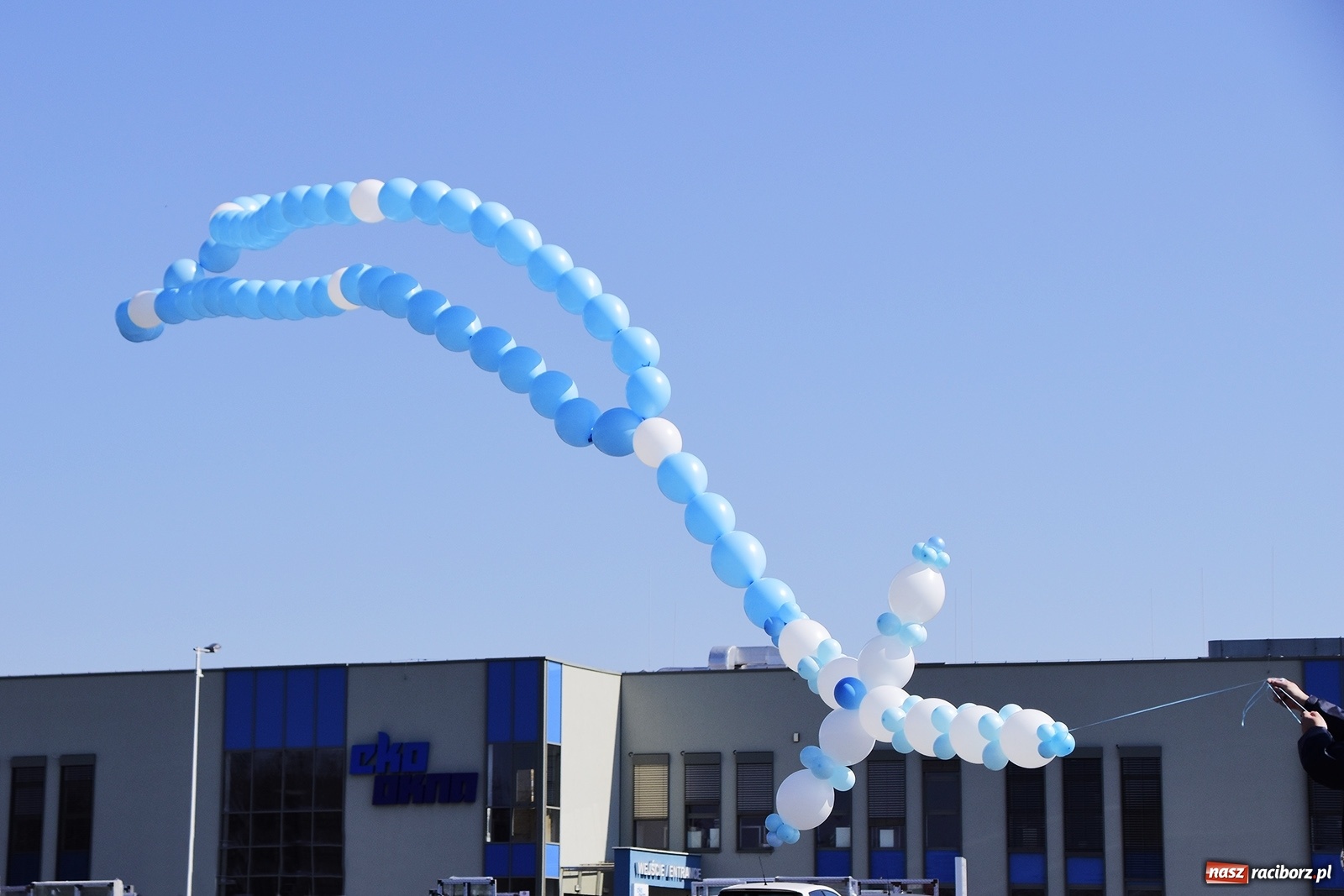 Zdjęcie w galerii na portalu naszraciborz.pl: Pracownicy Eko-Okien wypuścili w niebo swoje modlitwy [FOTO i WIDEO] wiadomości z regionu