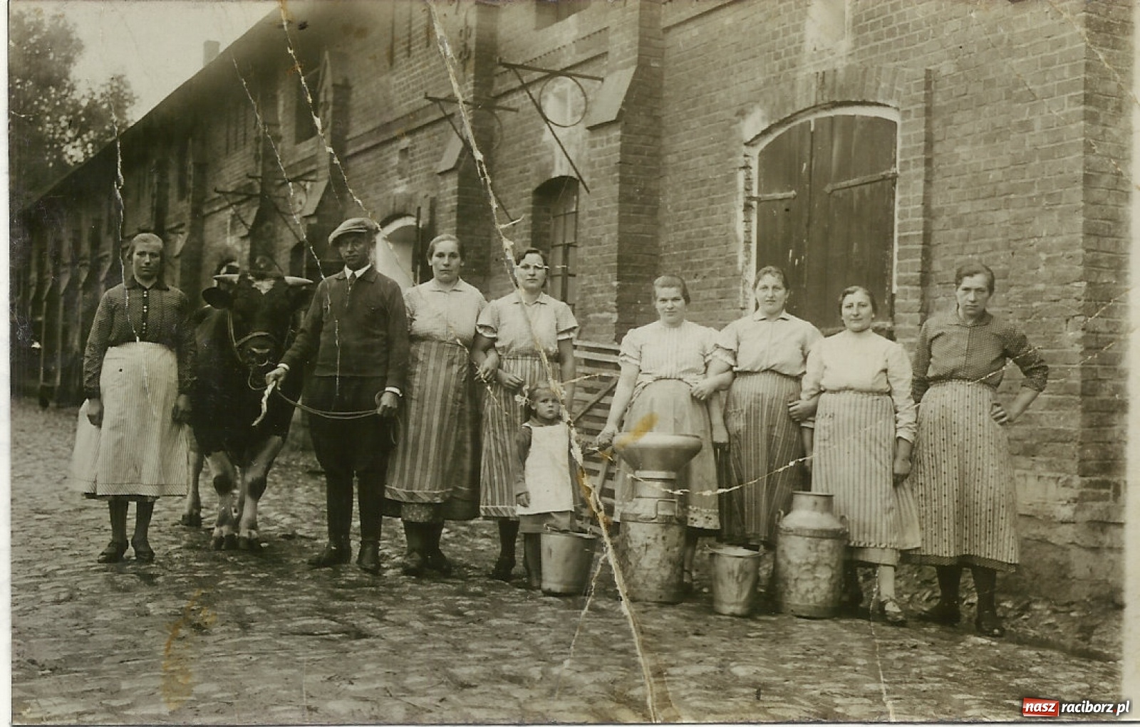 Zdjęcie w galerii na portalu naszraciborz.pl: Dawni mieszkańcy wojnowickiego pałacu  wiadomości z regionu