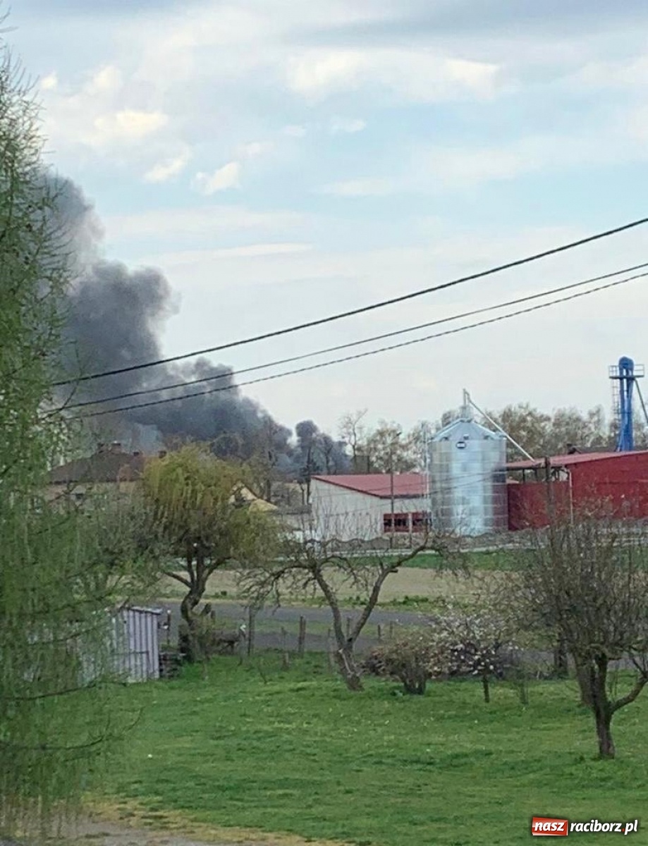 Zdjęcie w galerii na portalu naszraciborz.pl: Pożar kurnika w Zabełkowie. Dym był widoczny z kilku kilometrów! [FOTO i WIDEO] wiadomości z regionu