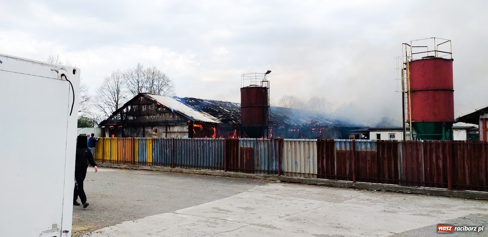Zdjęcie w galerii na portalu naszraciborz.pl: Pożar kurnika w Zabełkowie. Dym był widoczny z kilku kilometrów! [FOTO i WIDEO] wiadomości z regionu