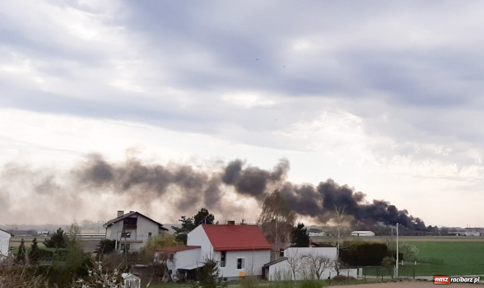 Zdjęcie w galerii na portalu naszraciborz.pl: Pożar kurnika w Zabełkowie. Dym był widoczny z kilku kilometrów! [FOTO i WIDEO] wiadomości z regionu