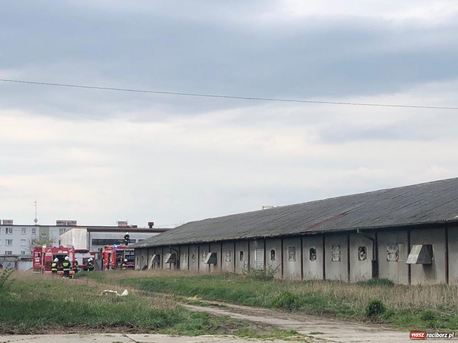 Zdjęcie w galerii na portalu naszraciborz.pl: Pożar kurnika w Zabełkowie. Dym był widoczny z kilku kilometrów! [FOTO i WIDEO] wiadomości z regionu