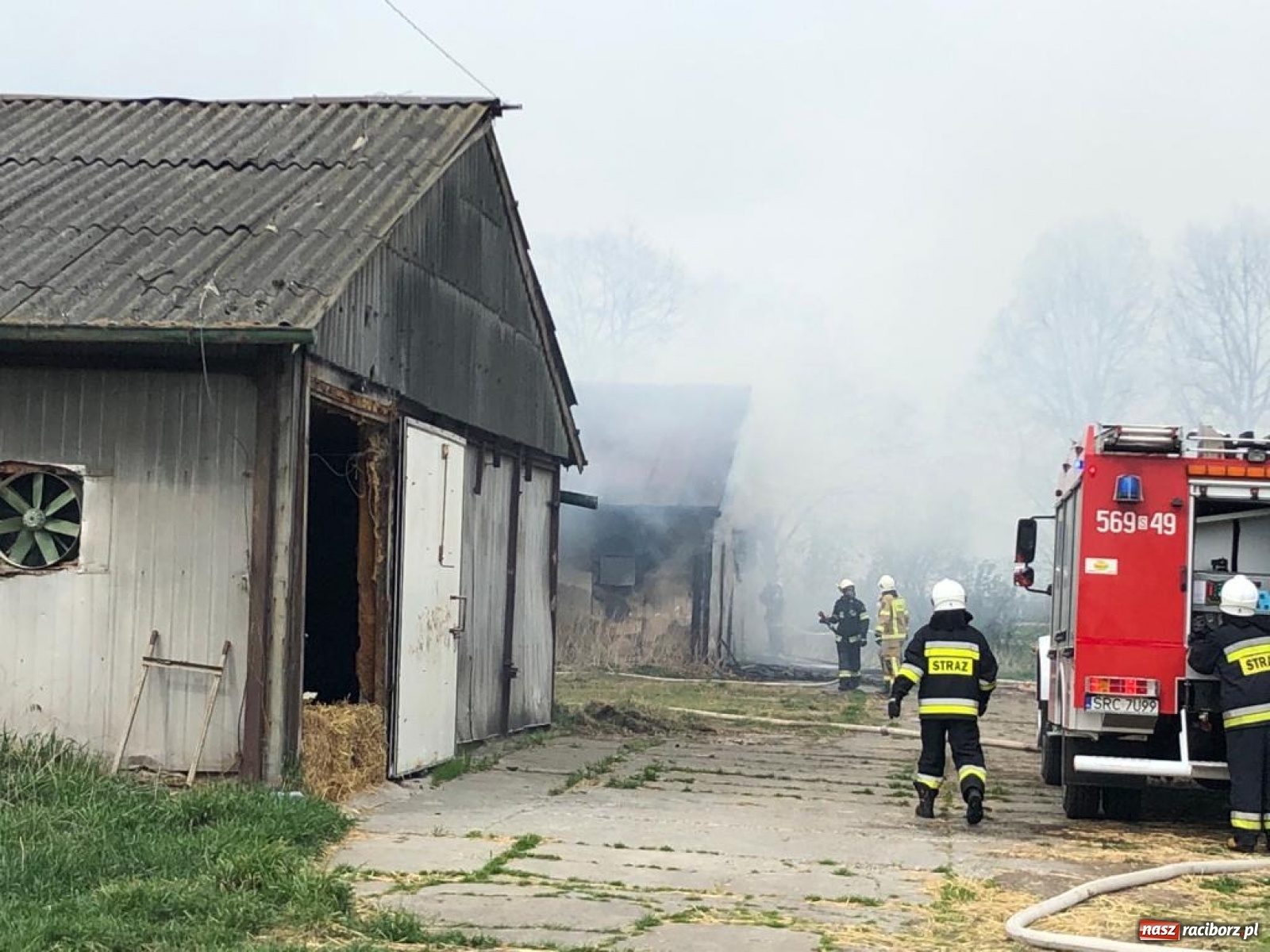 Zdjęcie w galerii na portalu naszraciborz.pl: Pożar kurnika w Zabełkowie. Dym był widoczny z kilku kilometrów! [FOTO i WIDEO] wiadomości z regionu