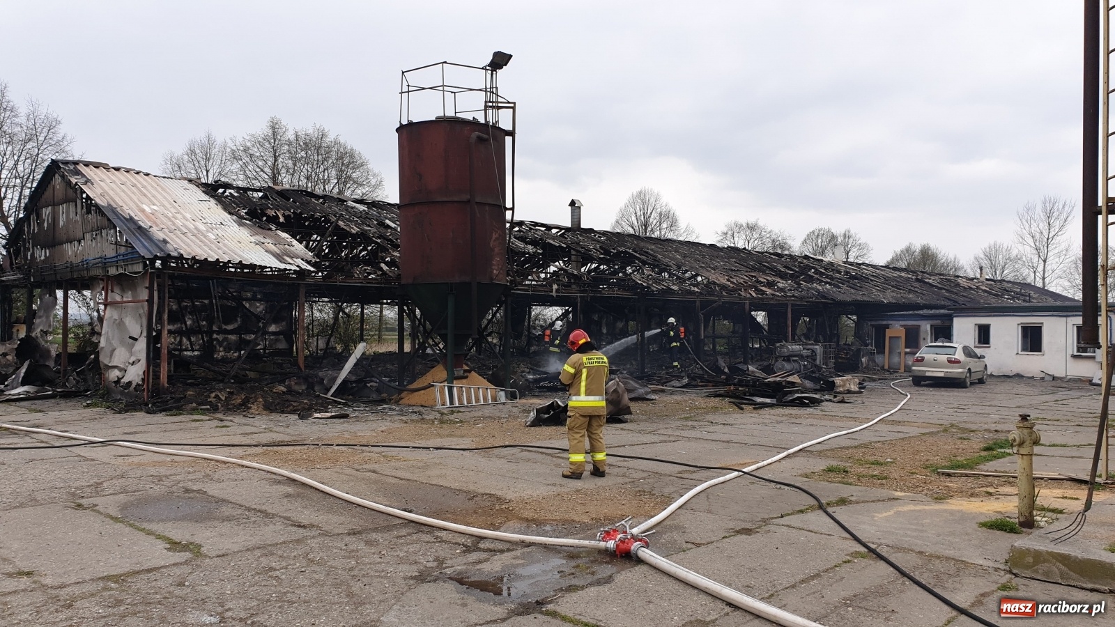 Zdjęcie w galerii na portalu naszraciborz.pl: Pożar kurnika w Zabełkowie. Dym był widoczny z kilku kilometrów! [FOTO i WIDEO] wiadomości z regionu