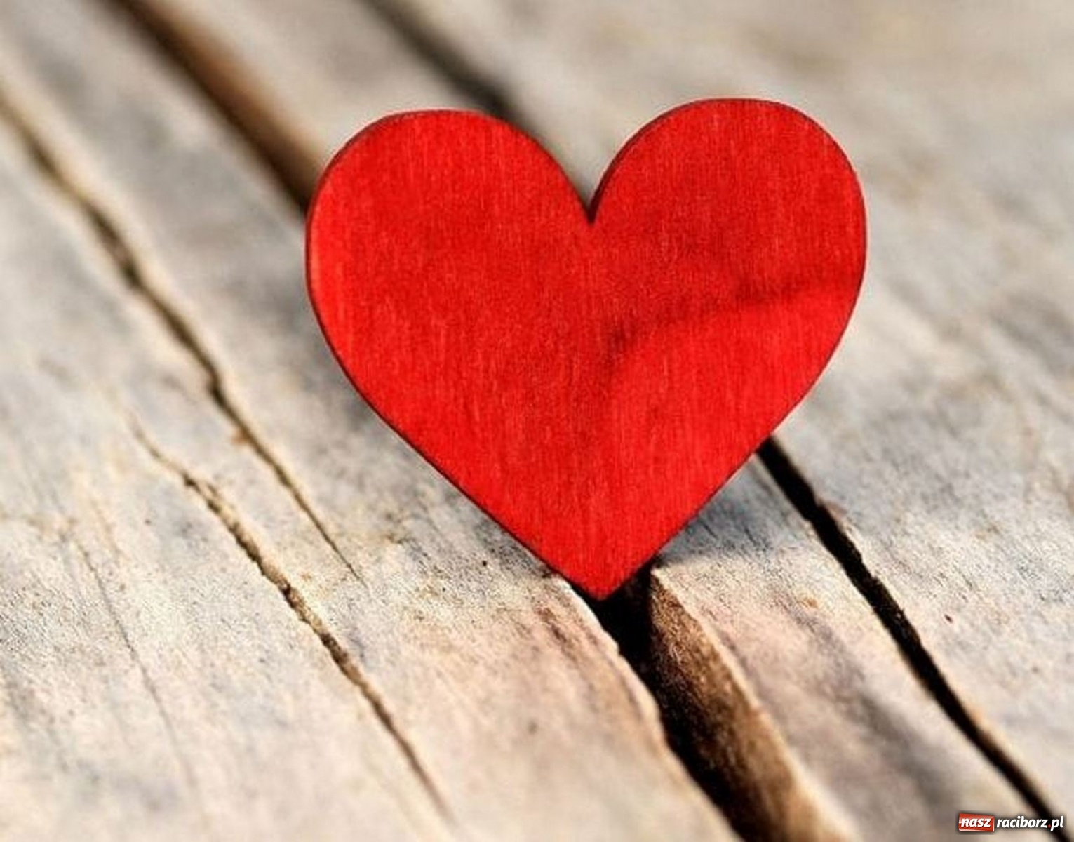 Zdjęcie w galerii na portalu naszraciborz.pl: Maszyny do szycia poszły w ruch. Kuźnia Kultury szyje maseczki wiadomości z regionu