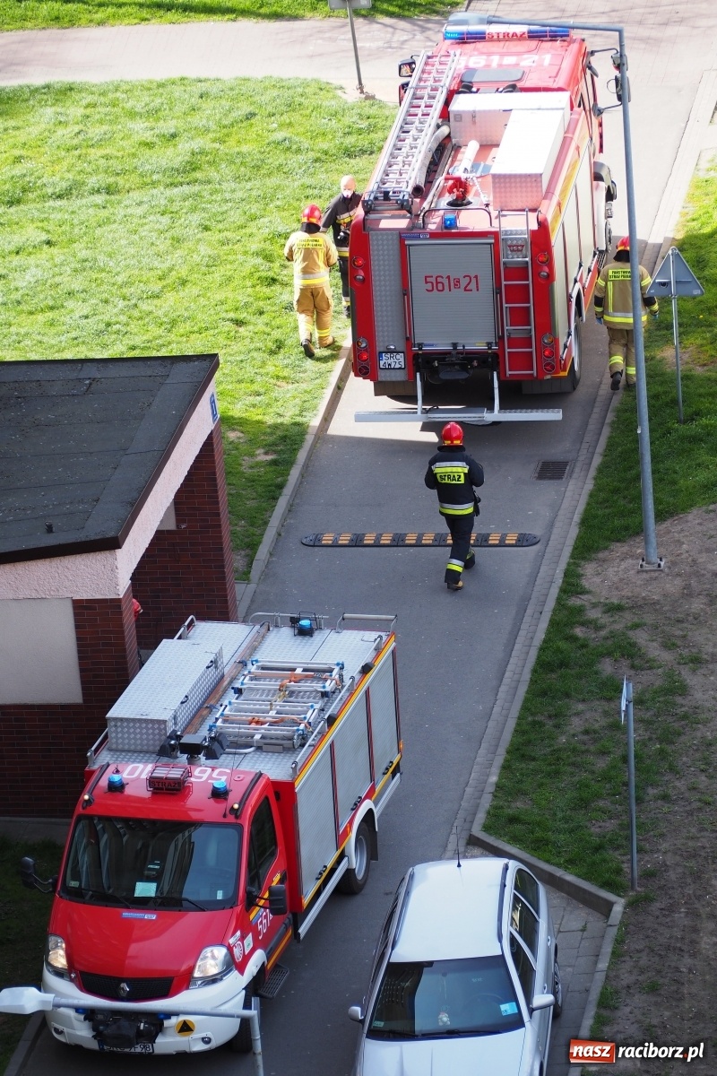 Zdjęcie w galerii na portalu naszraciborz.pl: Raport 998. Czad w mieszkaniu przy Katowickiej. Zwłoki mężczyzny w Krowiarkach wiadomości z regionu