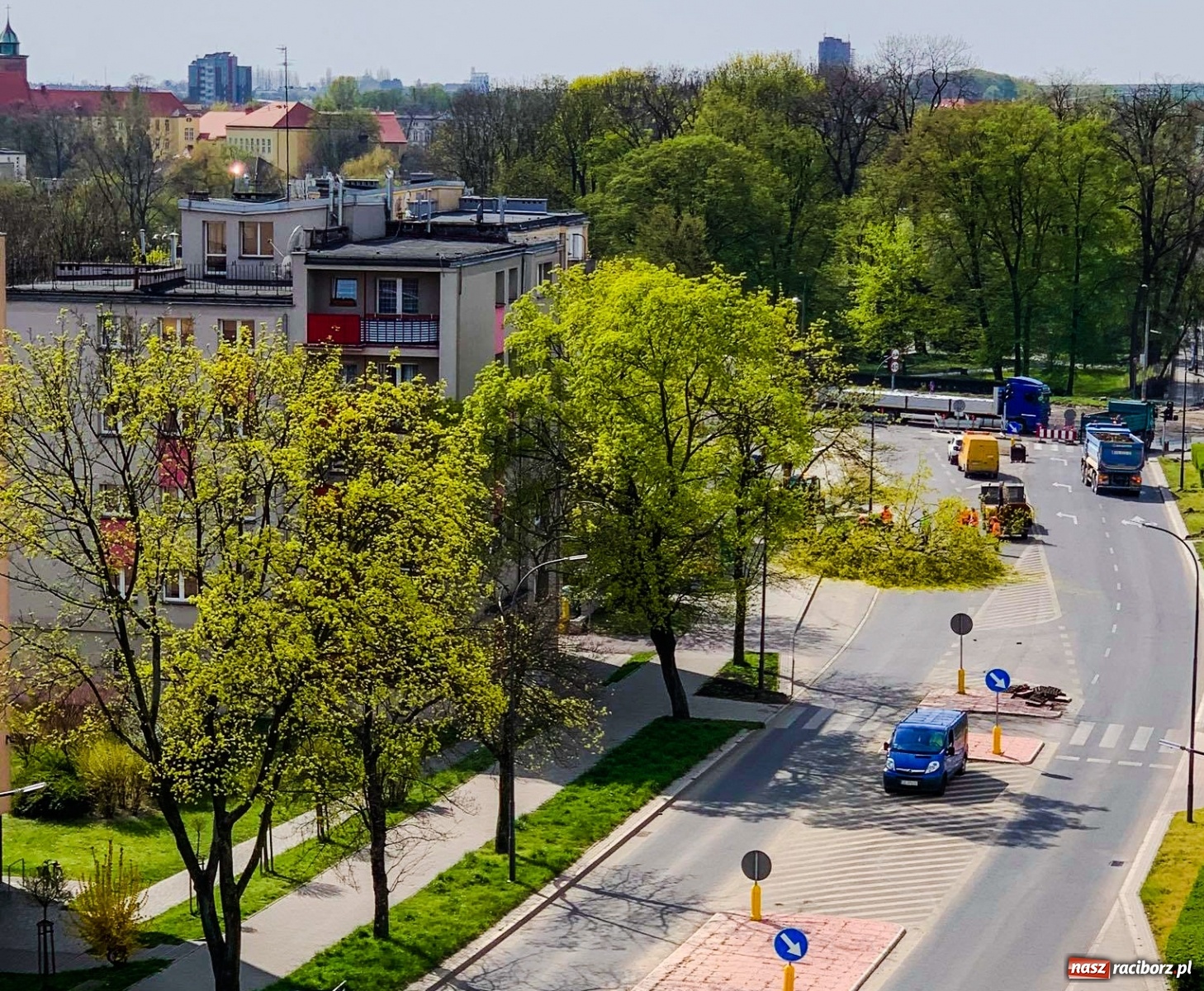 Zdjęcie w galerii na portalu naszraciborz.pl: W pasie drogowym na Bosackiej nie będzie drzew wiadomości z regionu