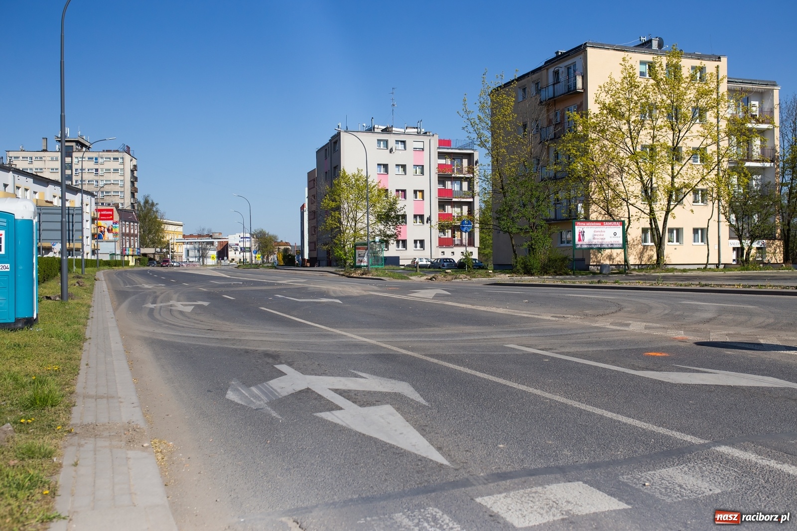 Zdjęcie w galerii na portalu naszraciborz.pl: Z rejonu przyszłego ronda znikną 64 drzewa! Władze miasta i powiatu miały o tym wiedzę wiadomości z regionu