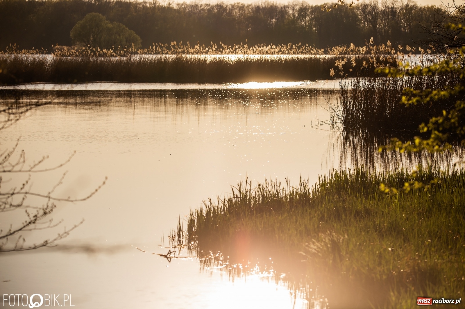 Zdjęcie w galerii na portalu naszraciborz.pl: Zakazy na Łężczoku. Leśnicy podają powody  wiadomości z regionu