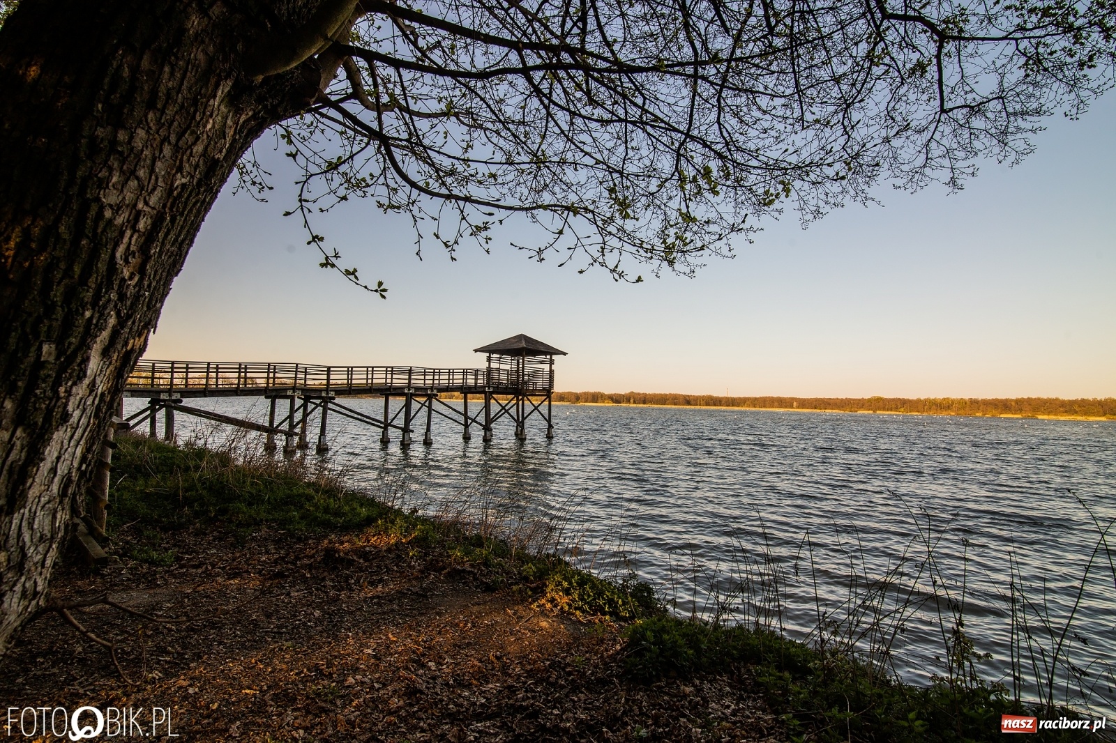 Zdjęcie w galerii na portalu naszraciborz.pl: Zakazy na Łężczoku. Leśnicy podają powody  wiadomości z regionu