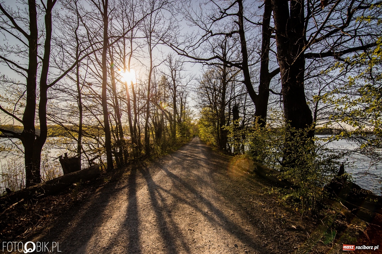 Zdjęcie w galerii na portalu naszraciborz.pl: Zakazy na Łężczoku. Leśnicy podają powody  wiadomości z regionu