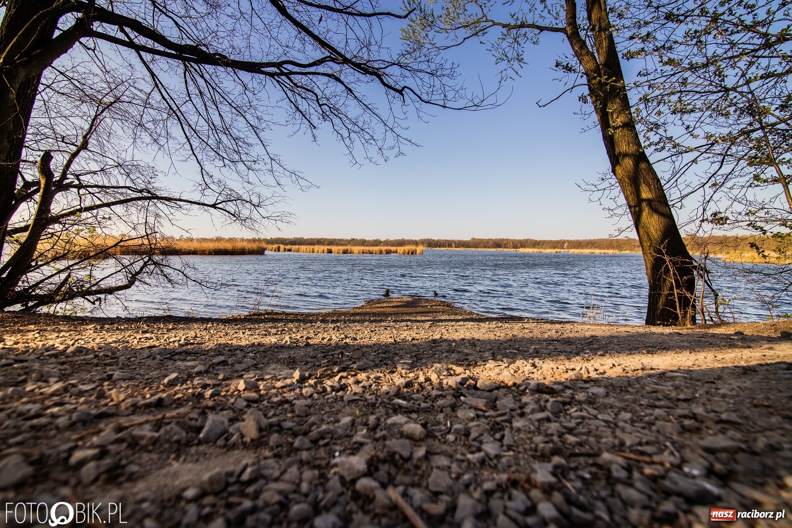 Zdjęcie w galerii na portalu naszraciborz.pl: Zakazy na Łężczoku. Leśnicy podają powody  wiadomości z regionu