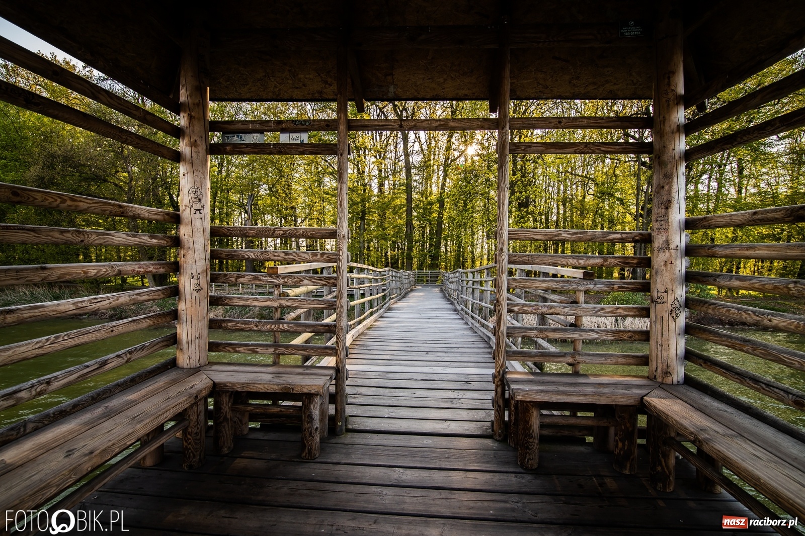 Zdjęcie w galerii na portalu naszraciborz.pl: Zakazy na Łężczoku. Leśnicy podają powody  wiadomości z regionu