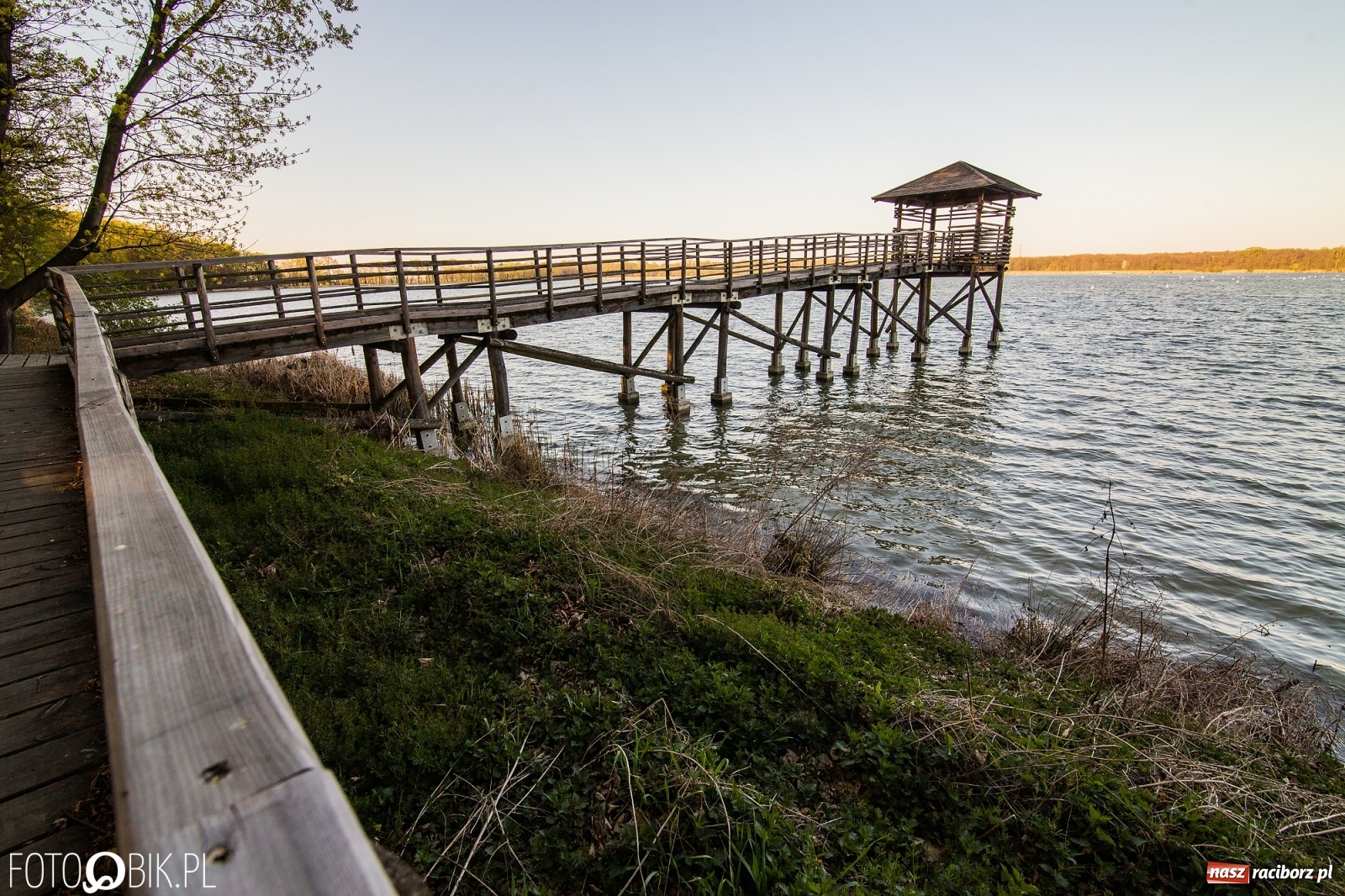 Zdjęcie w galerii na portalu naszraciborz.pl: Zakazy na Łężczoku. Leśnicy podają powody  wiadomości z regionu