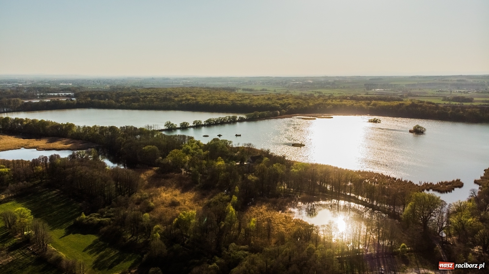 Zdjęcie w galerii na portalu naszraciborz.pl: Zakazy na Łężczoku. Leśnicy podają powody  wiadomości z regionu