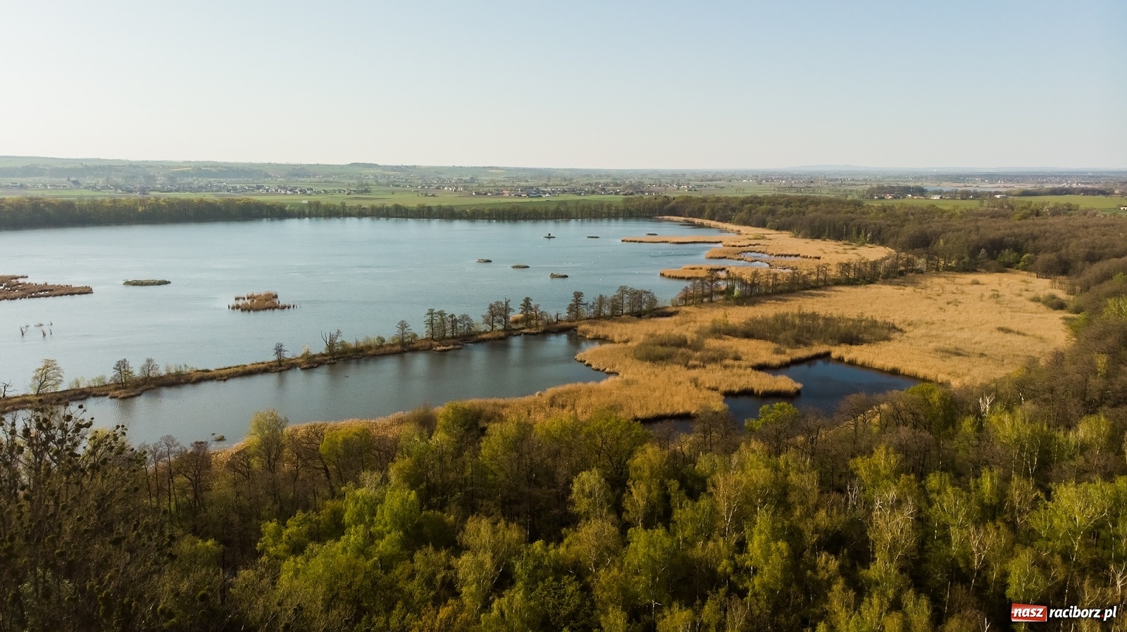 Zdjęcie w galerii na portalu naszraciborz.pl: Zakazy na Łężczoku. Leśnicy podają powody  wiadomości z regionu