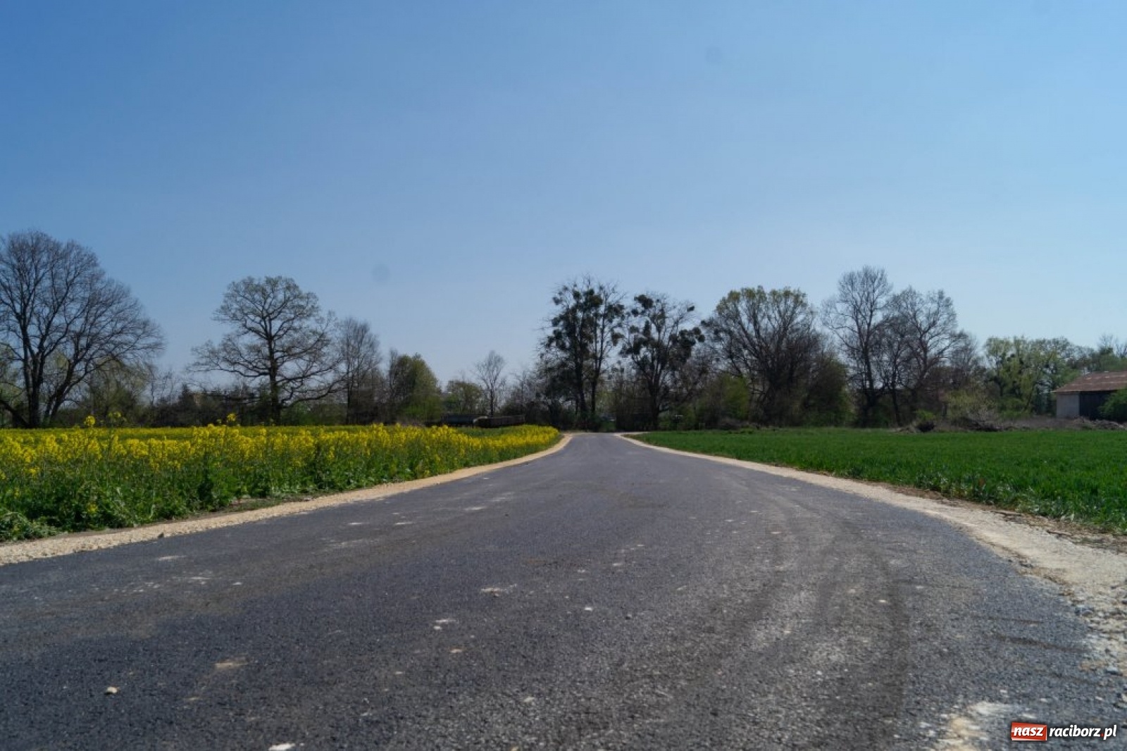 Zdjęcie w galerii na portalu naszraciborz.pl: Oczyszczalnia w Ciechowicach z nową drogą wiadomości z regionu