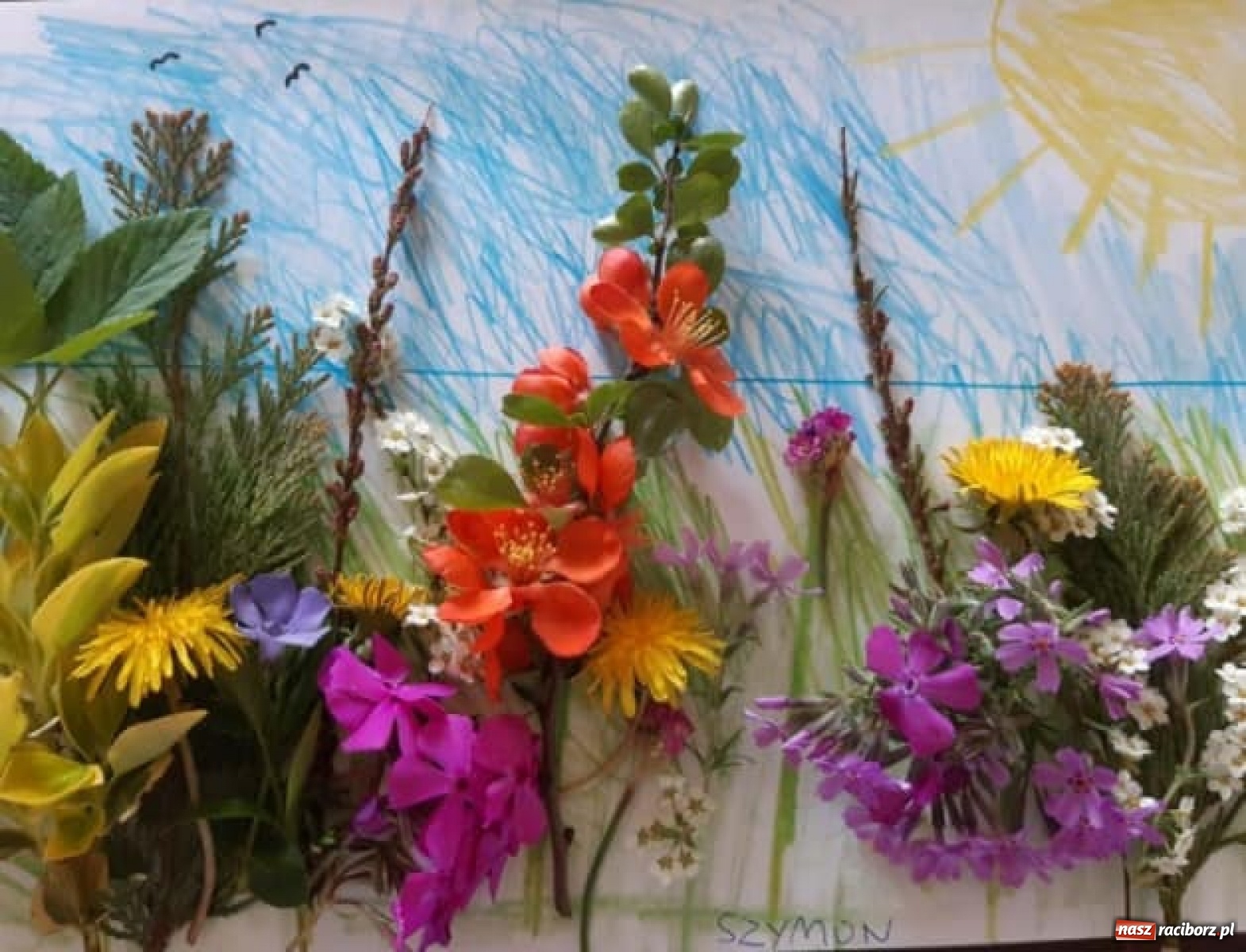 Zdjęcie w galerii na portalu naszraciborz.pl: Światowy Dzień Ziemi. Uczniowie ZSS pamiętają o ekologii wiadomości z regionu