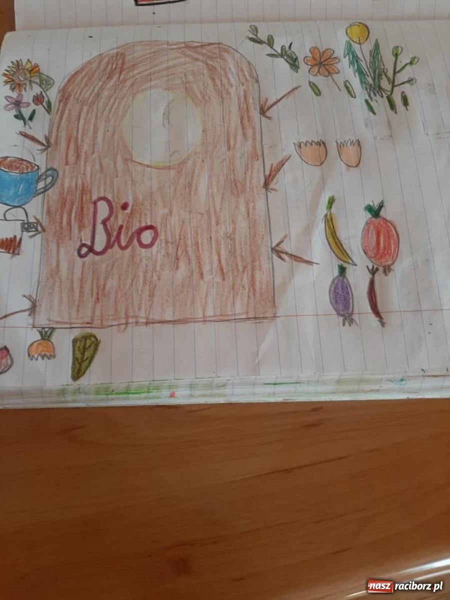 Zdjęcie w galerii na portalu naszraciborz.pl: Światowy Dzień Ziemi. Uczniowie ZSS pamiętają o ekologii wiadomości z regionu