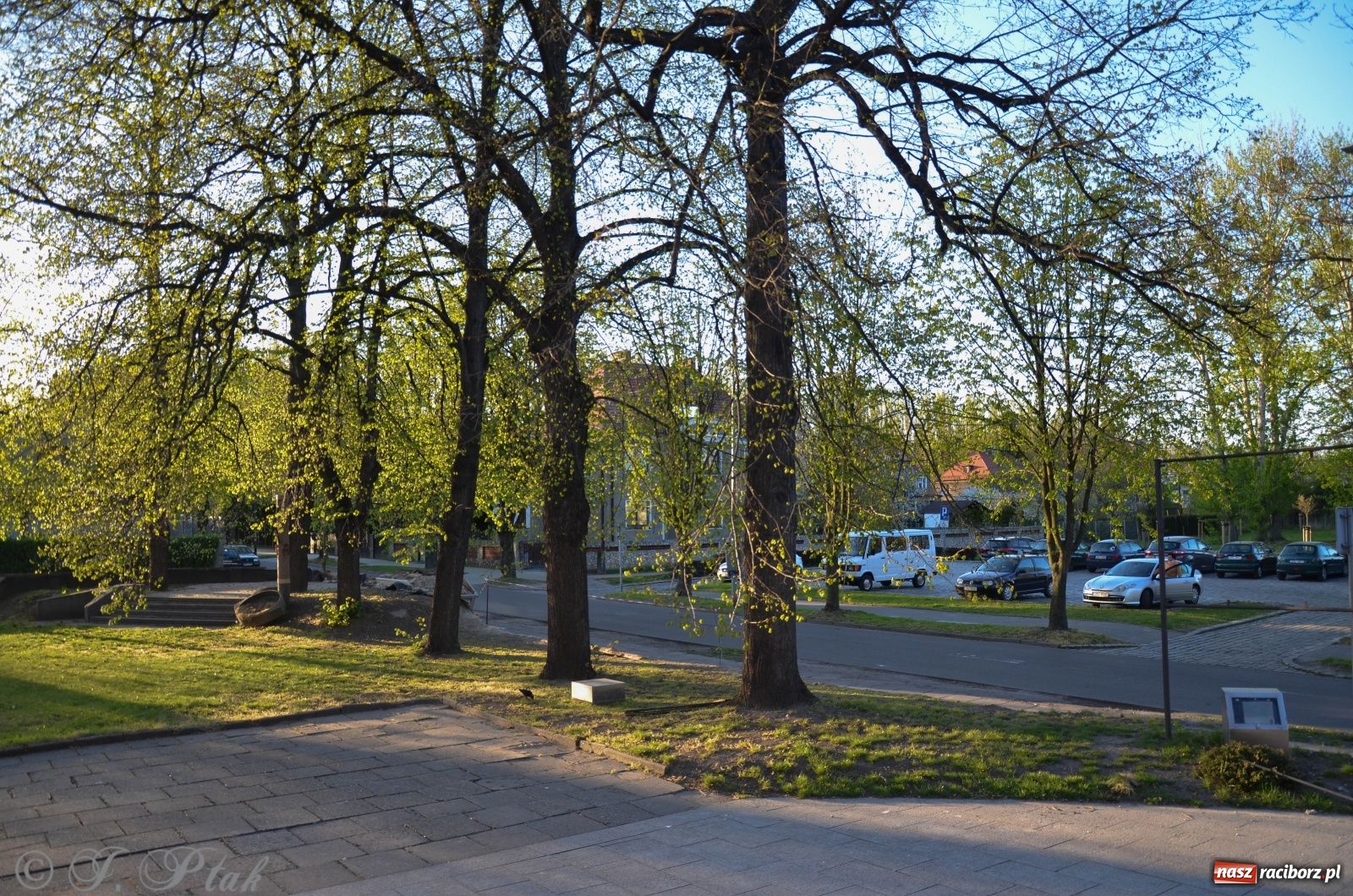 Zdjęcie w galerii na portalu naszraciborz.pl: Przy okrąglaku powstaje kolejny odcinek nowego muru  wiadomości z regionu