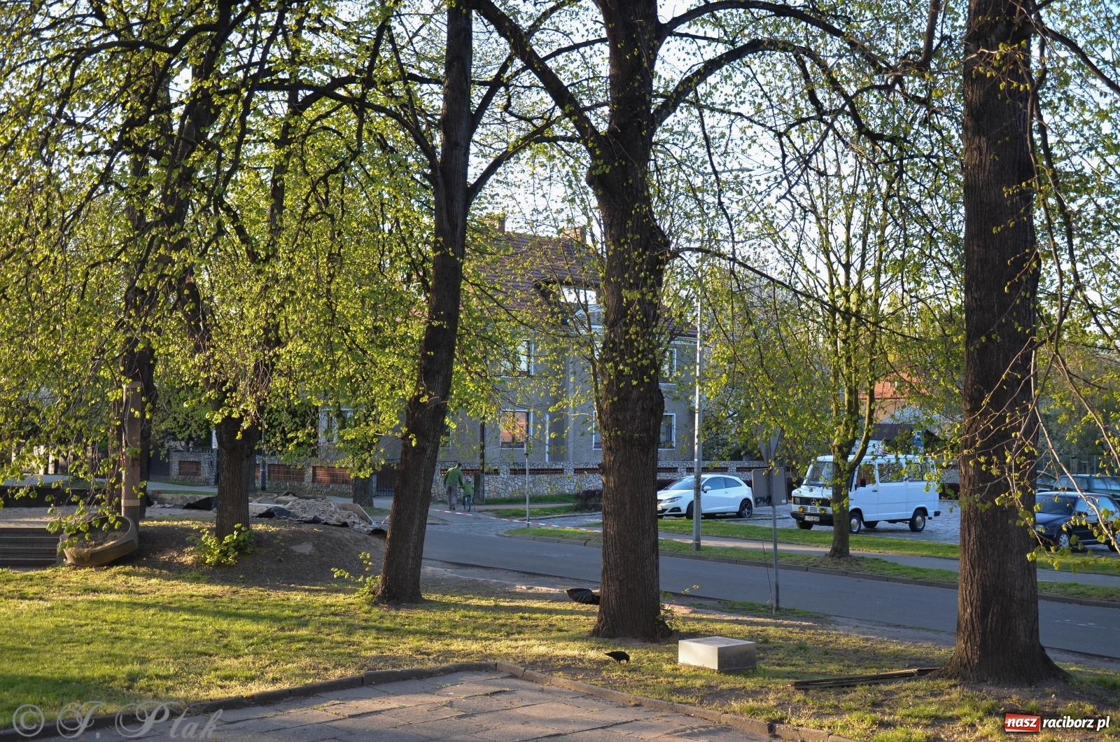 Zdjęcie w galerii na portalu naszraciborz.pl: Przy okrąglaku powstaje kolejny odcinek nowego muru  wiadomości z regionu