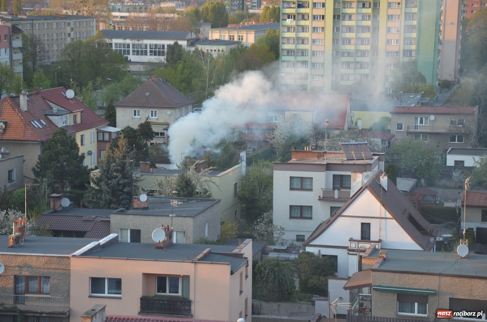 Zdjęcie w galerii na portalu naszraciborz.pl: Raport 998. Dym nad Biedronką. Przechodnie wezwali strażaków wiadomości z regionu