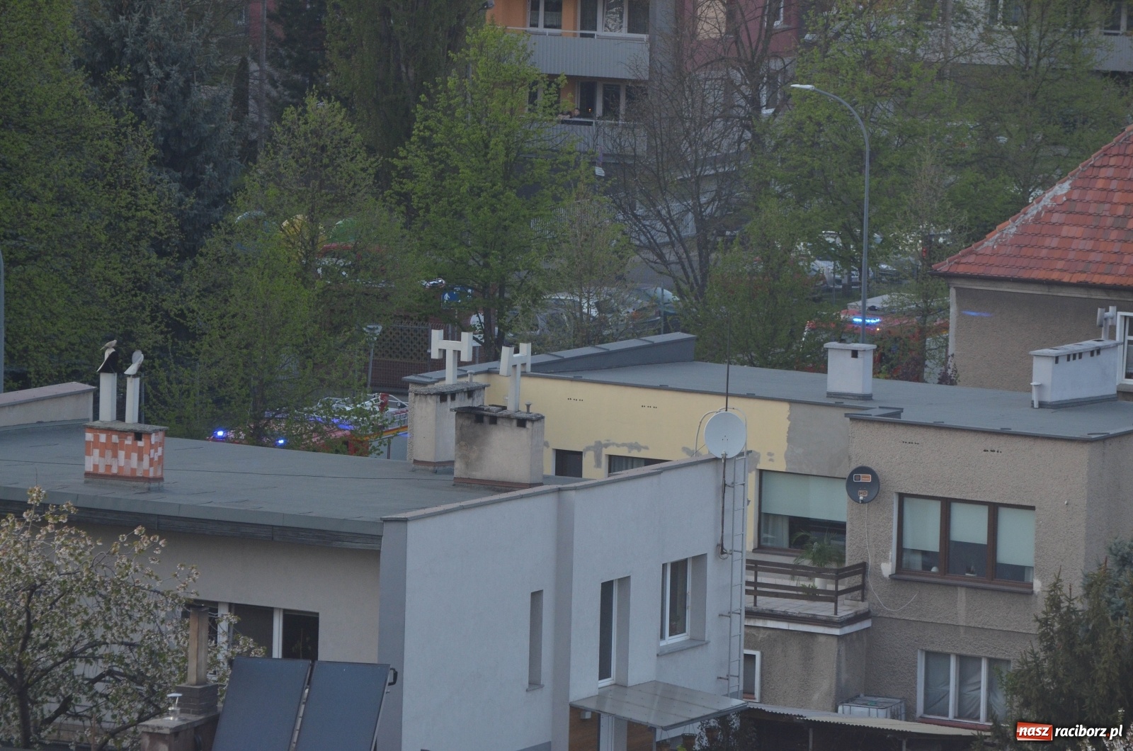 Zdjęcie w galerii na portalu naszraciborz.pl: Raport 998. Dym nad Biedronką. Przechodnie wezwali strażaków wiadomości z regionu