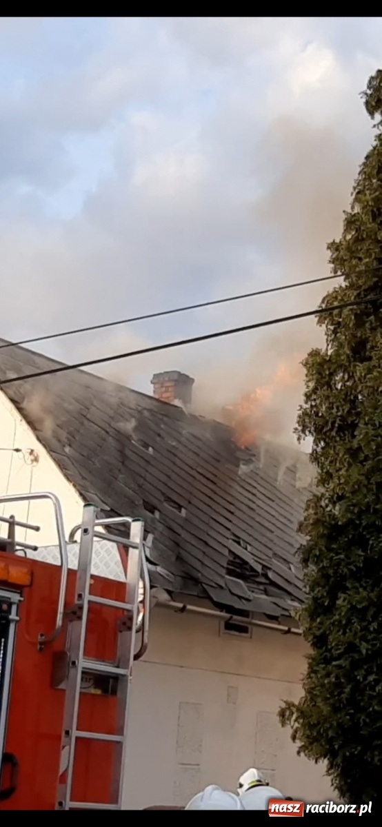 Zdjęcie w galerii na portalu naszraciborz.pl: Rodzina z Tworkowa potrzebuje pomocy  wiadomości z regionu