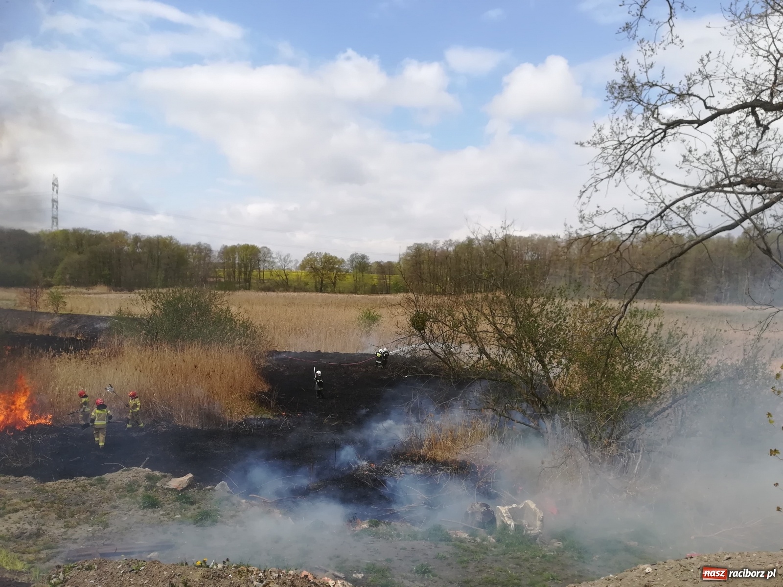 Zdjęcie w galerii na portalu naszraciborz.pl: Hektar suchych trzcin w ogniu pod Rzuchowem [FOTO]  wiadomości z regionu