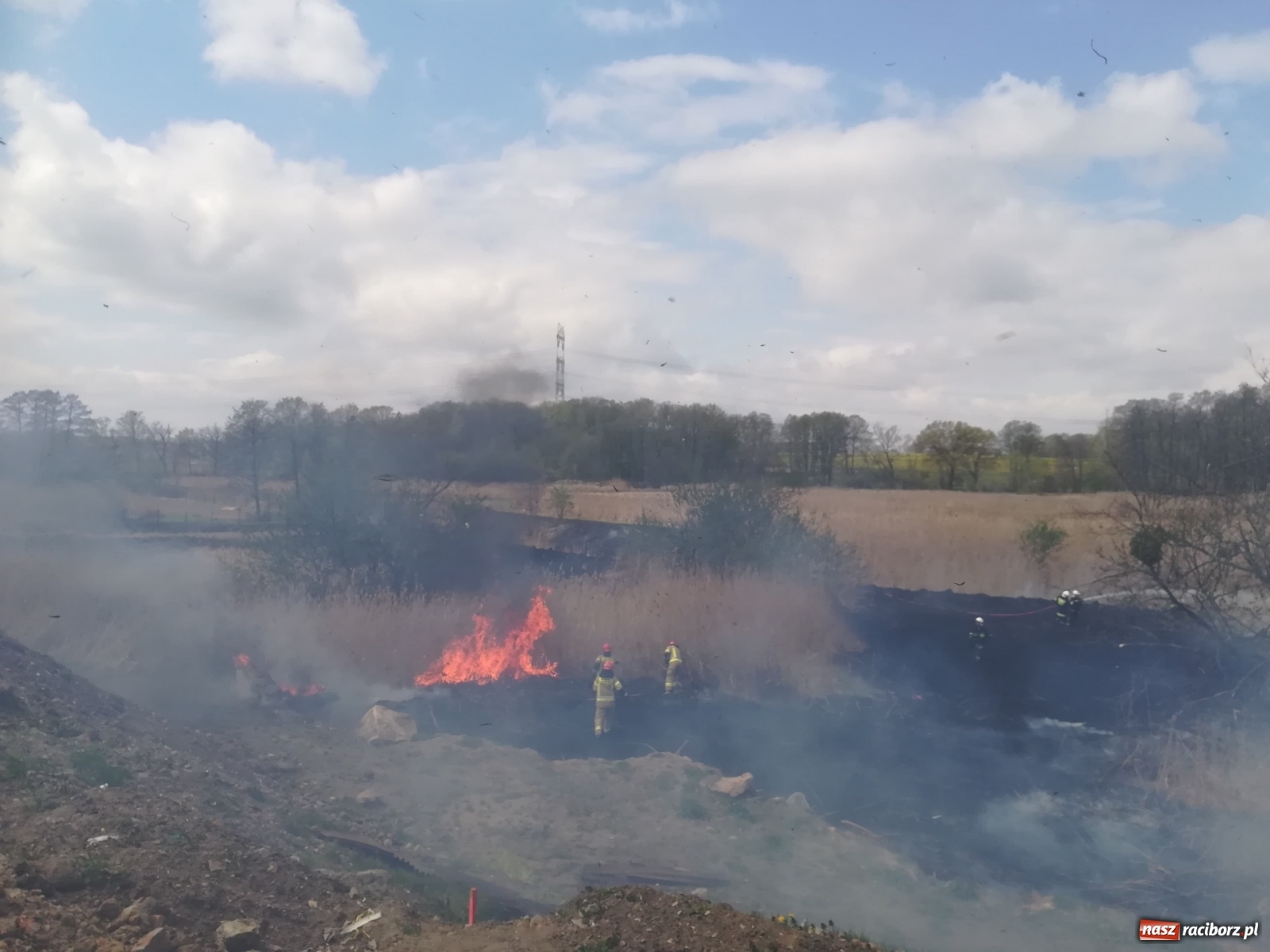 Zdjęcie w galerii na portalu naszraciborz.pl: Hektar suchych trzcin w ogniu pod Rzuchowem [FOTO]  wiadomości z regionu