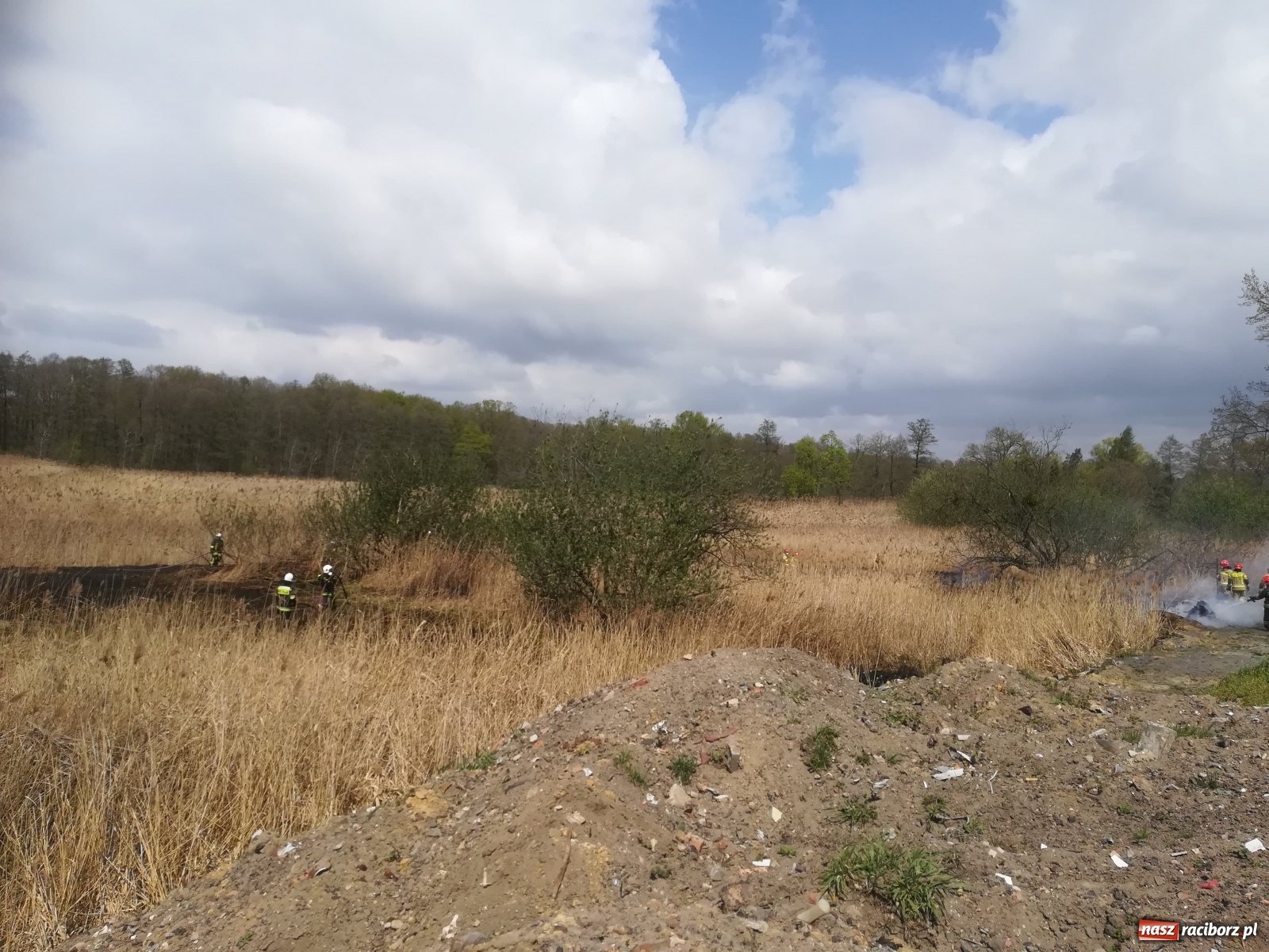 Zdjęcie w galerii na portalu naszraciborz.pl: Hektar suchych trzcin w ogniu pod Rzuchowem [FOTO]  wiadomości z regionu