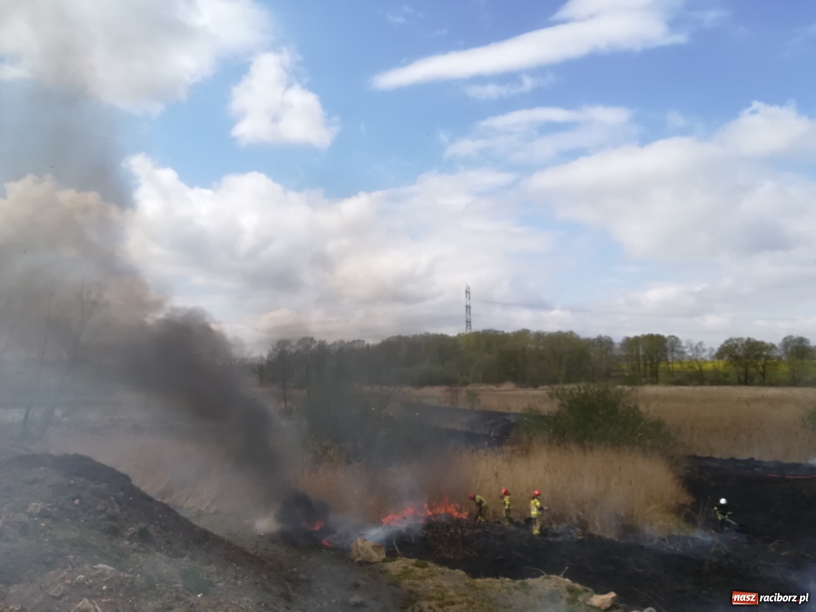 Zdjęcie w galerii na portalu naszraciborz.pl: Hektar suchych trzcin w ogniu pod Rzuchowem [FOTO]  wiadomości z regionu