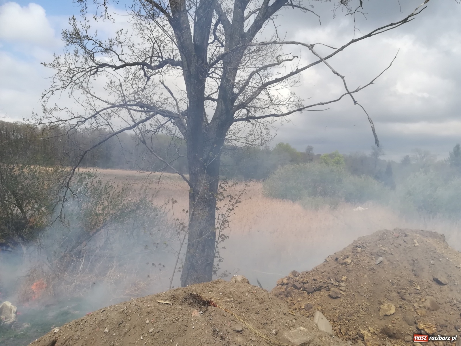 Zdjęcie w galerii na portalu naszraciborz.pl: Hektar suchych trzcin w ogniu pod Rzuchowem [FOTO]  wiadomości z regionu