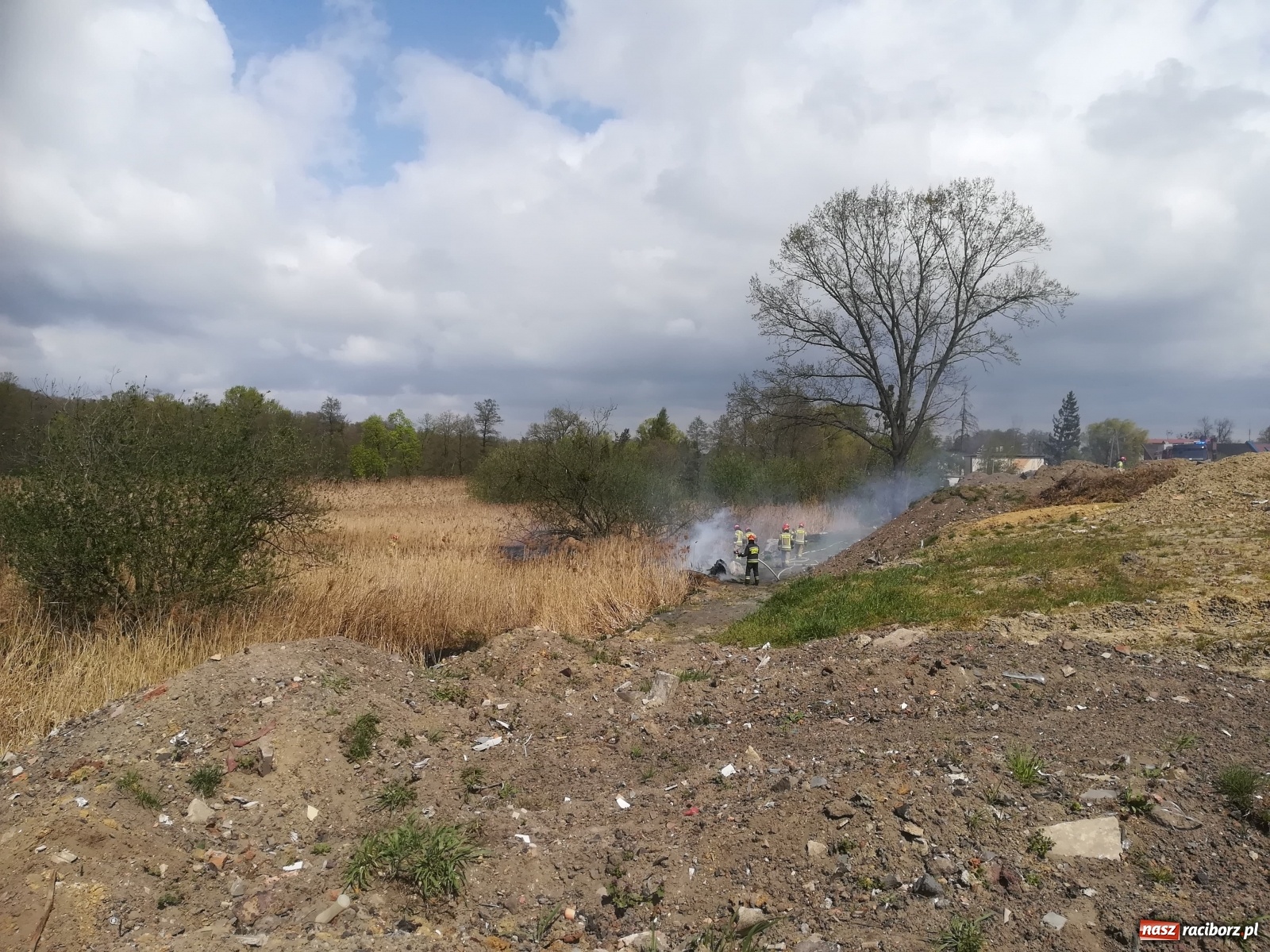 Zdjęcie w galerii na portalu naszraciborz.pl: Hektar suchych trzcin w ogniu pod Rzuchowem [FOTO]  wiadomości z regionu