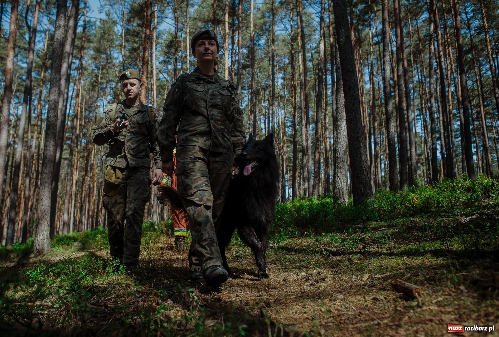 Zdjęcie w galerii na portalu naszraciborz.pl: Pierwszy pies ratowniczy w Wojsku Polskim wiadomości z regionu