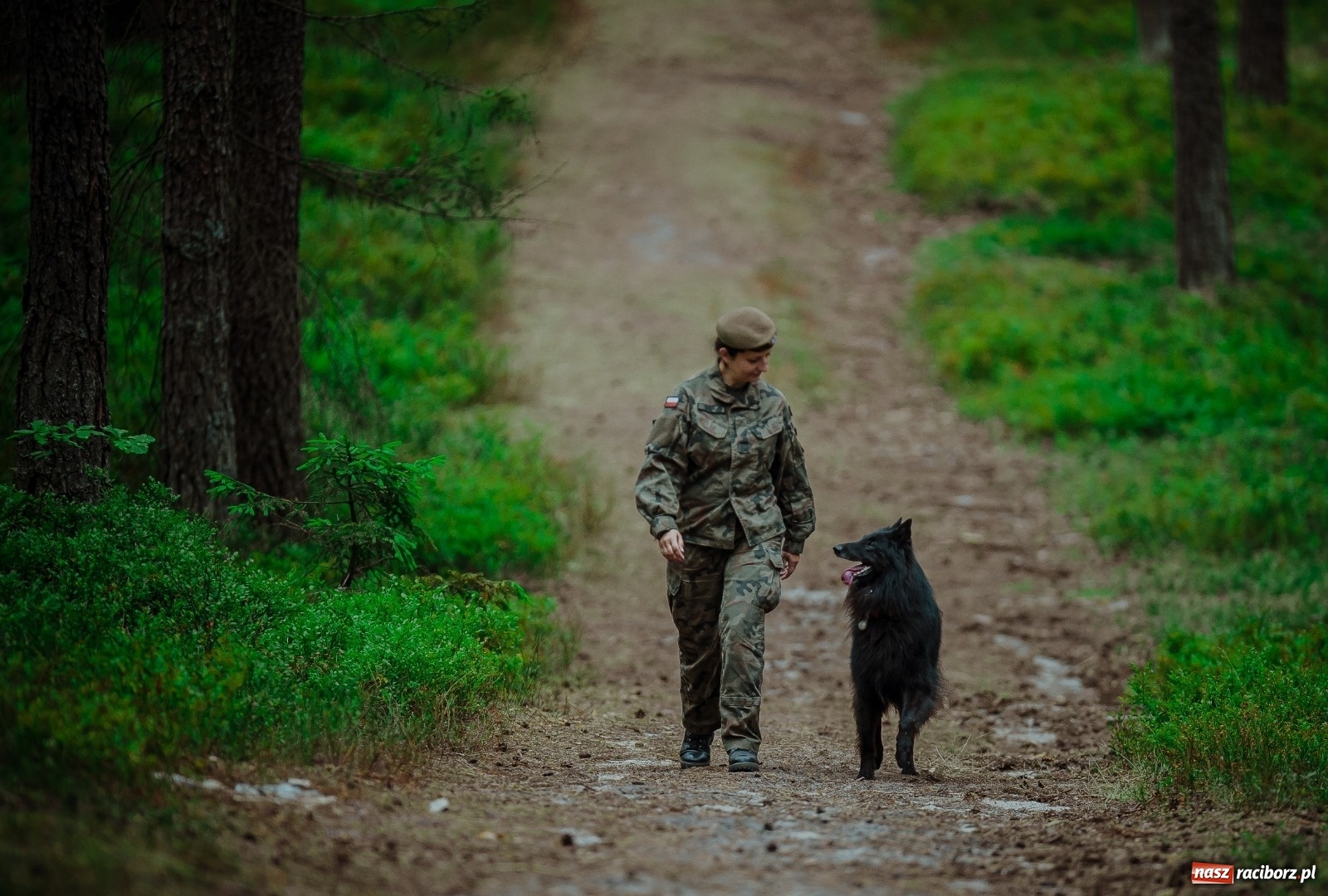 Zdjęcie w galerii na portalu naszraciborz.pl: Pierwszy pies ratowniczy w Wojsku Polskim wiadomości z regionu