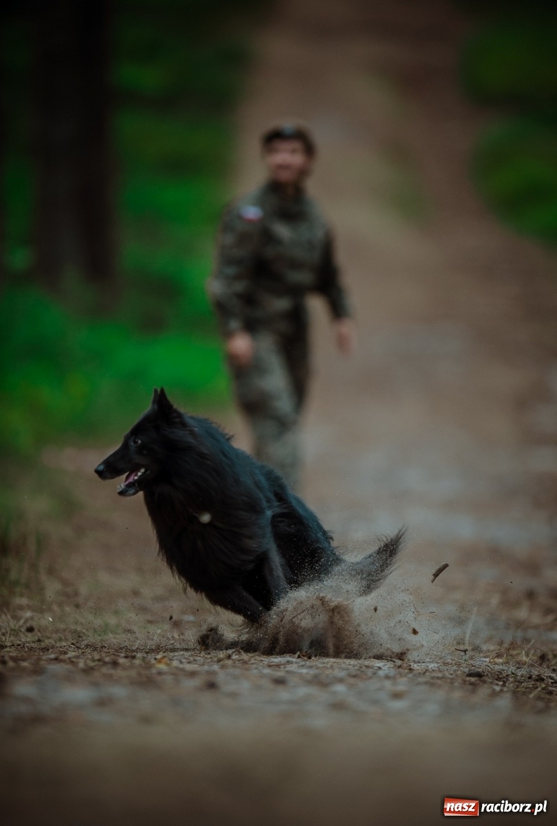Zdjęcie w galerii na portalu naszraciborz.pl: Pierwszy pies ratowniczy w Wojsku Polskim wiadomości z regionu