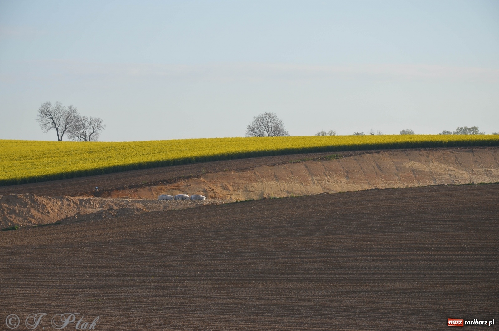 Zdjęcie w galerii na portalu naszraciborz.pl: Najnowszy raport z budowy wschodniej obwodnicy [WIDEO]  wiadomości z regionu
