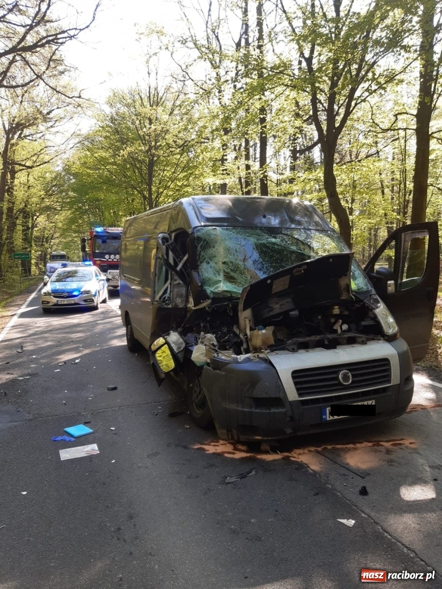 Zdjęcie w galerii na portalu naszraciborz.pl: Zderzenie dwóch pojazdów dostawczych na trasie Jankowice-Rudy  wiadomości z regionu