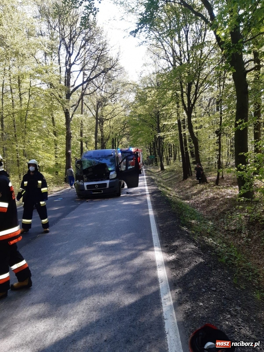 Zdjęcie w galerii na portalu naszraciborz.pl: Zderzenie dwóch pojazdów dostawczych na trasie Jankowice-Rudy  wiadomości z regionu