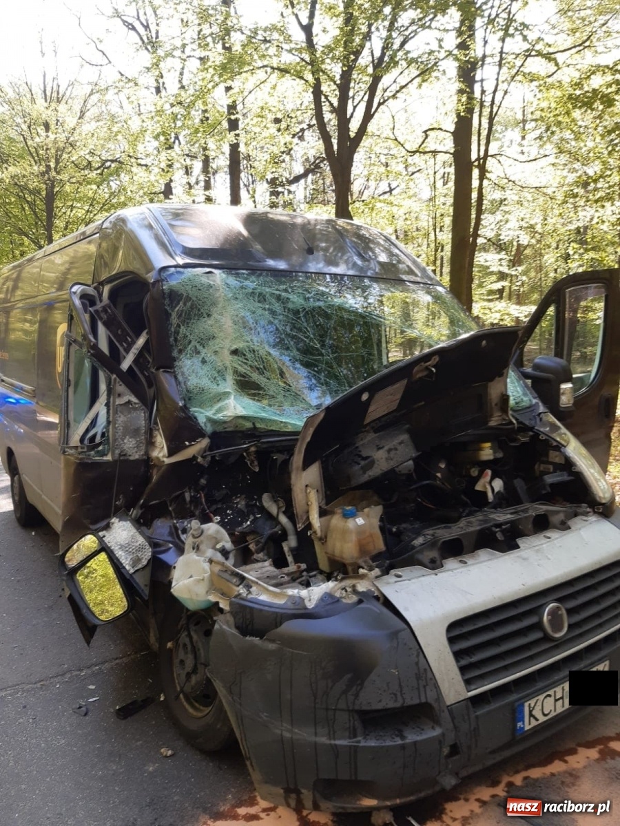 Zdjęcie w galerii na portalu naszraciborz.pl: Zderzenie dwóch pojazdów dostawczych na trasie Jankowice-Rudy  wiadomości z regionu