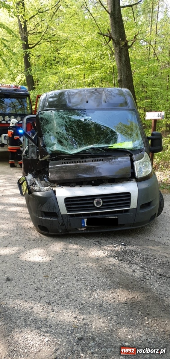 Zdjęcie w galerii na portalu naszraciborz.pl: Sąd zajmie się kolizją na trasie Jankowice-Rudy  wiadomości z regionu