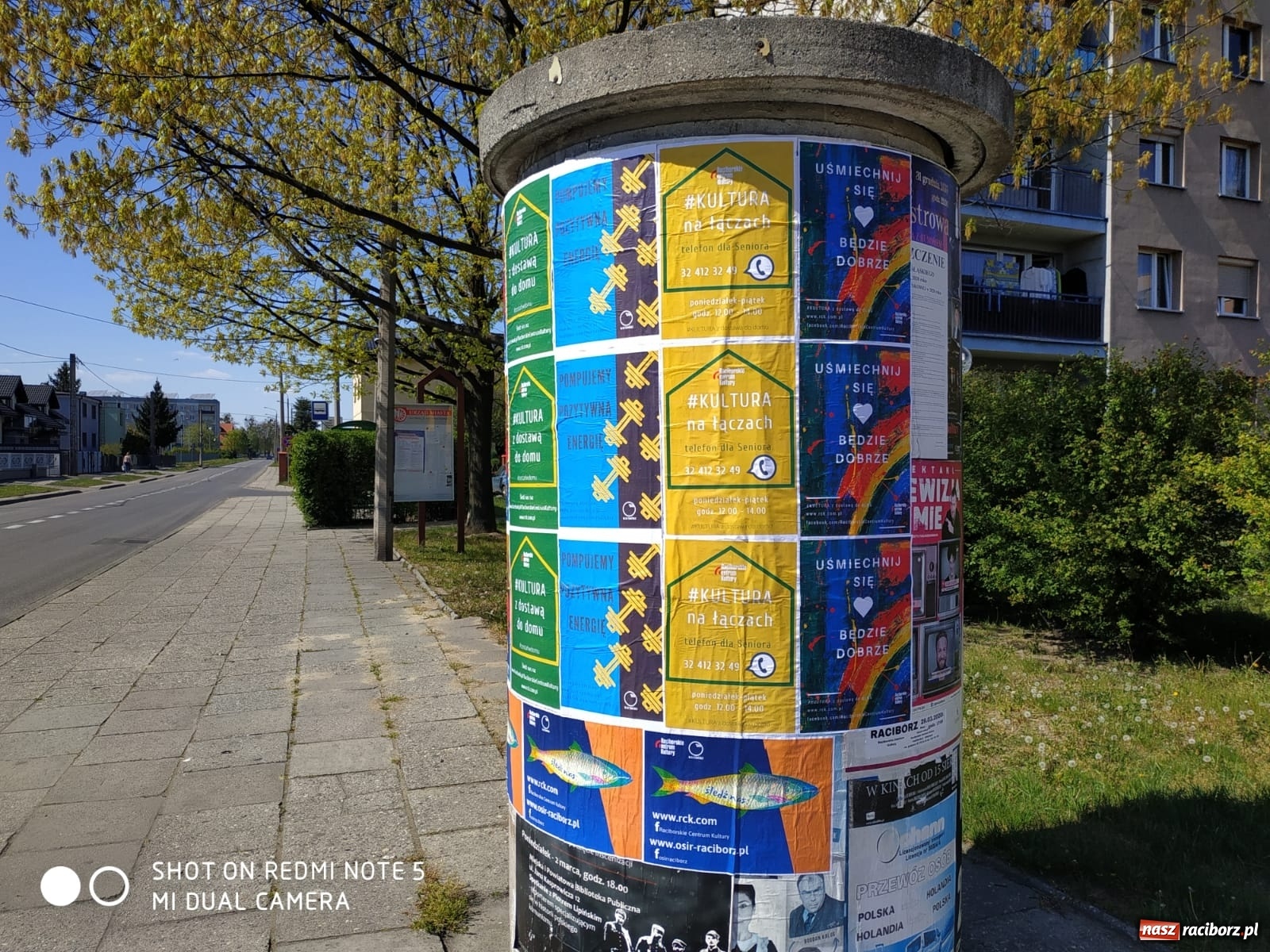 Zdjęcie w galerii na portalu naszraciborz.pl: Na miejskich słupach ogłoszeniowych zagościł pozytywny przekaz wiadomości z regionu