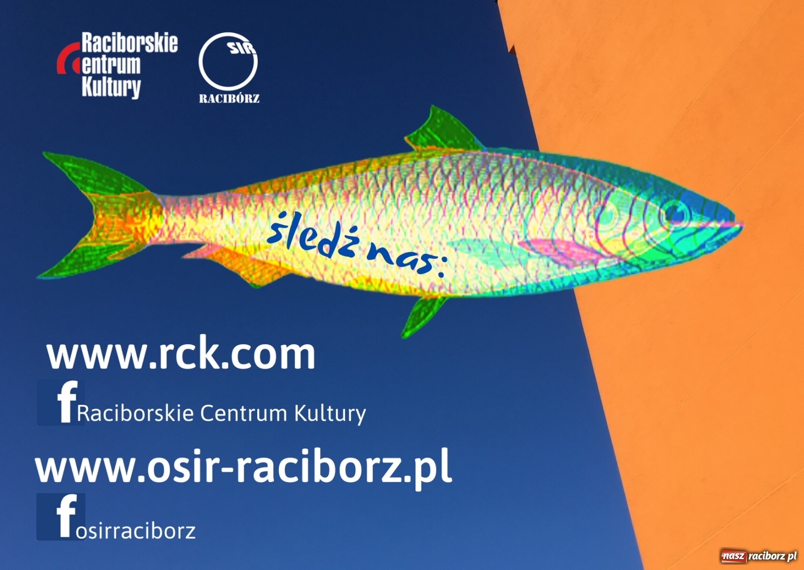 Zdjęcie w galerii na portalu naszraciborz.pl: Na miejskich słupach ogłoszeniowych zagościł pozytywny przekaz wiadomości z regionu