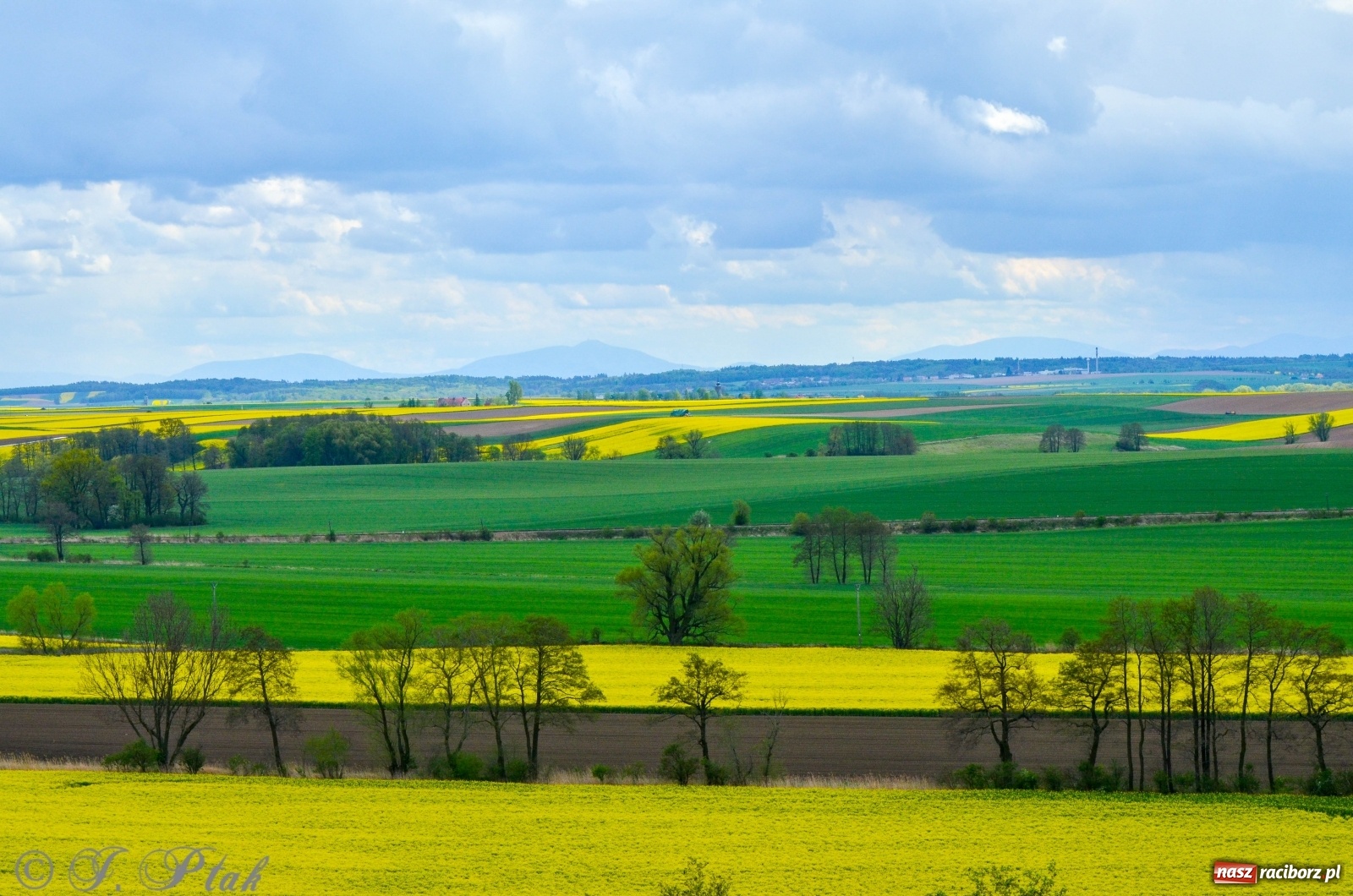 Zdjęcie w galerii na portalu naszraciborz.pl: Takie widoki tylko z Pietrowic Wielkich. Zobaczcie jak wygląda nowy klasztor [FOTO] wiadomości z regionu